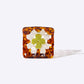 Granny Square Claw